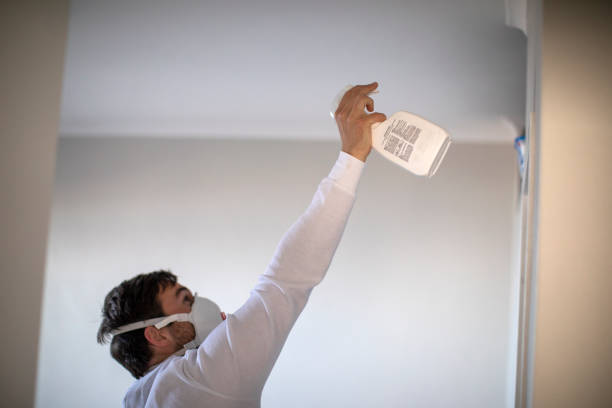 Best Best Mold Removal Companies  in Princeton, TX