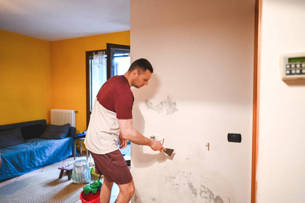 Best Home Mold Removal  in Princeton, TX