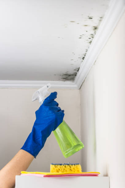 Best Crawl Space Mold Removal  in Princeton, TX
